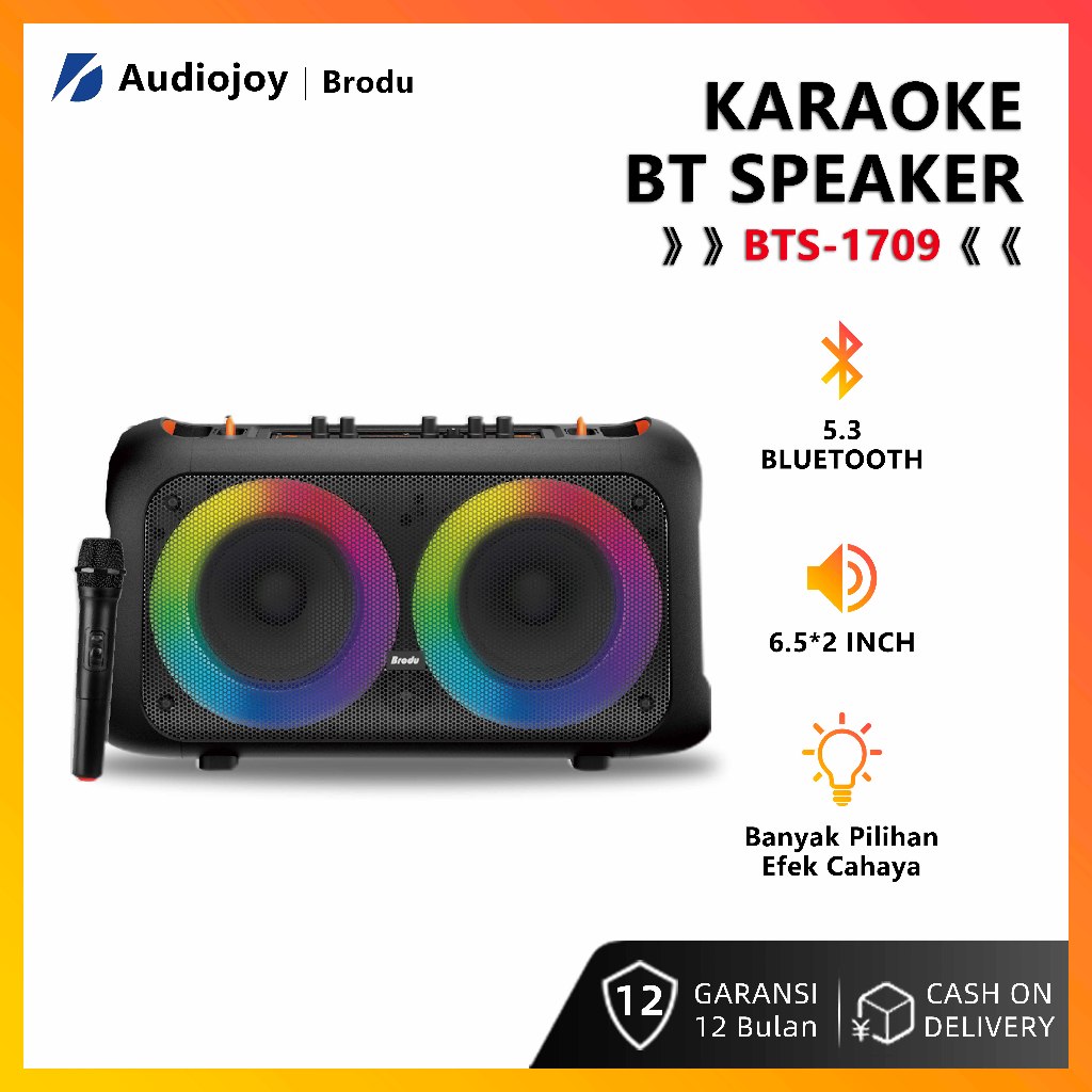 Brodu BTS-1709 Speaker Bluetooth Karaoke Pesta Outdoor 6.5*2 Inch 30W Free Mic Lampu RGB Garansi 12 