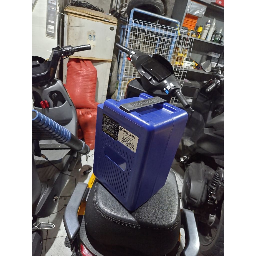 battery phylion 48v 24ah