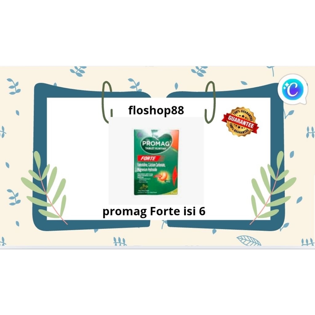 PROMAG FORTE / PROMAG FORTE TAB / PROMAG TABLET