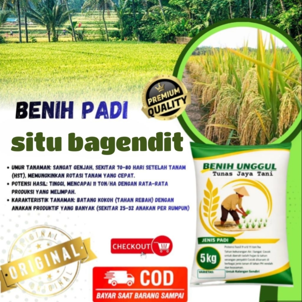 benih padi situ bagendit