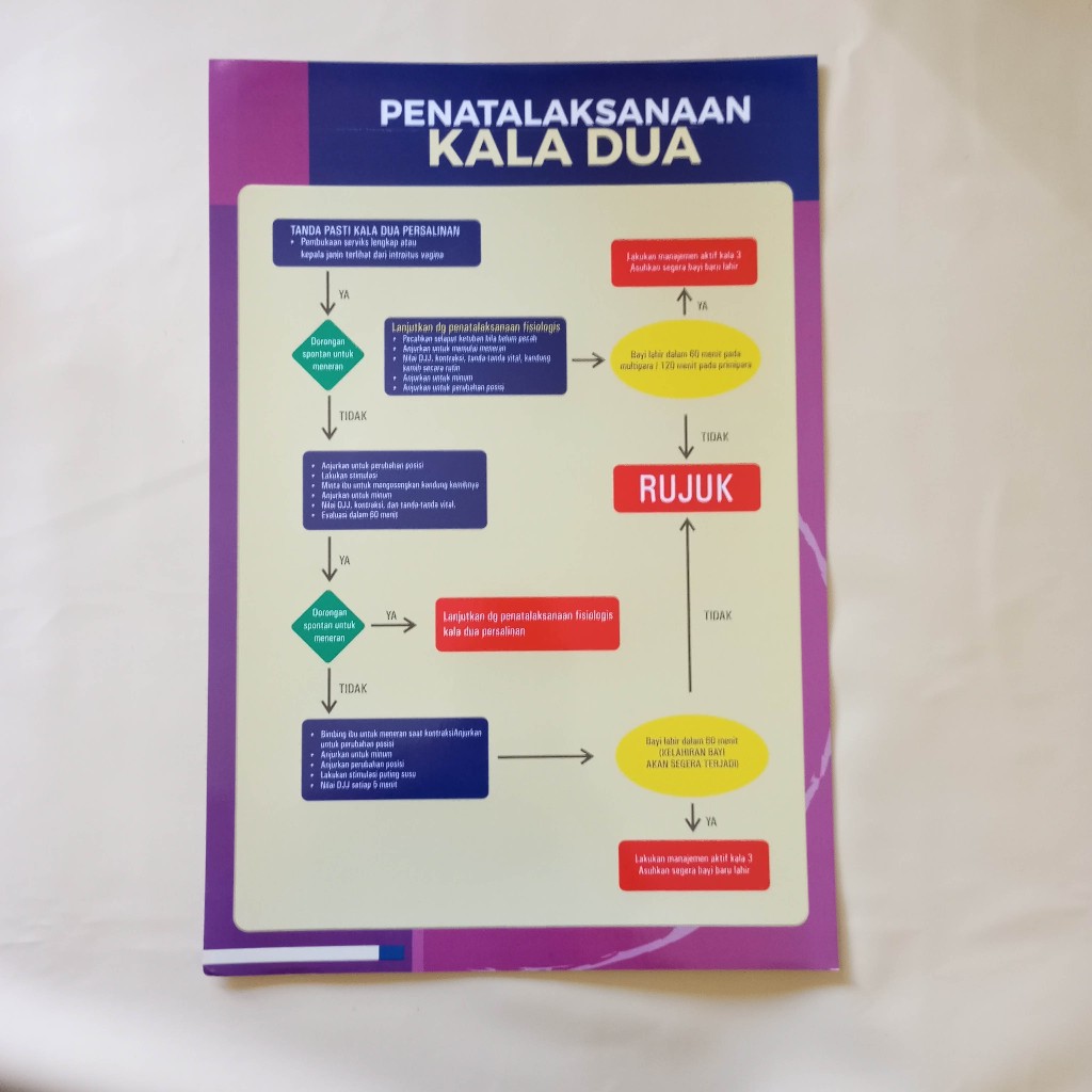 Poster Kebidanan | Poster Penatalaksanaan Kala 2, Poster Alur, APN untuk Praktek Bidan Full Color