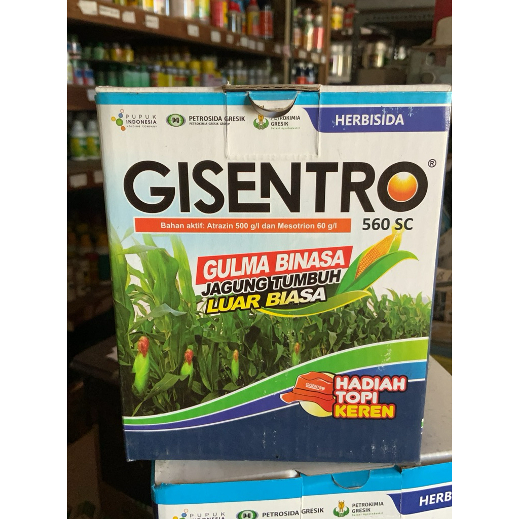GISENTRO 250 ML