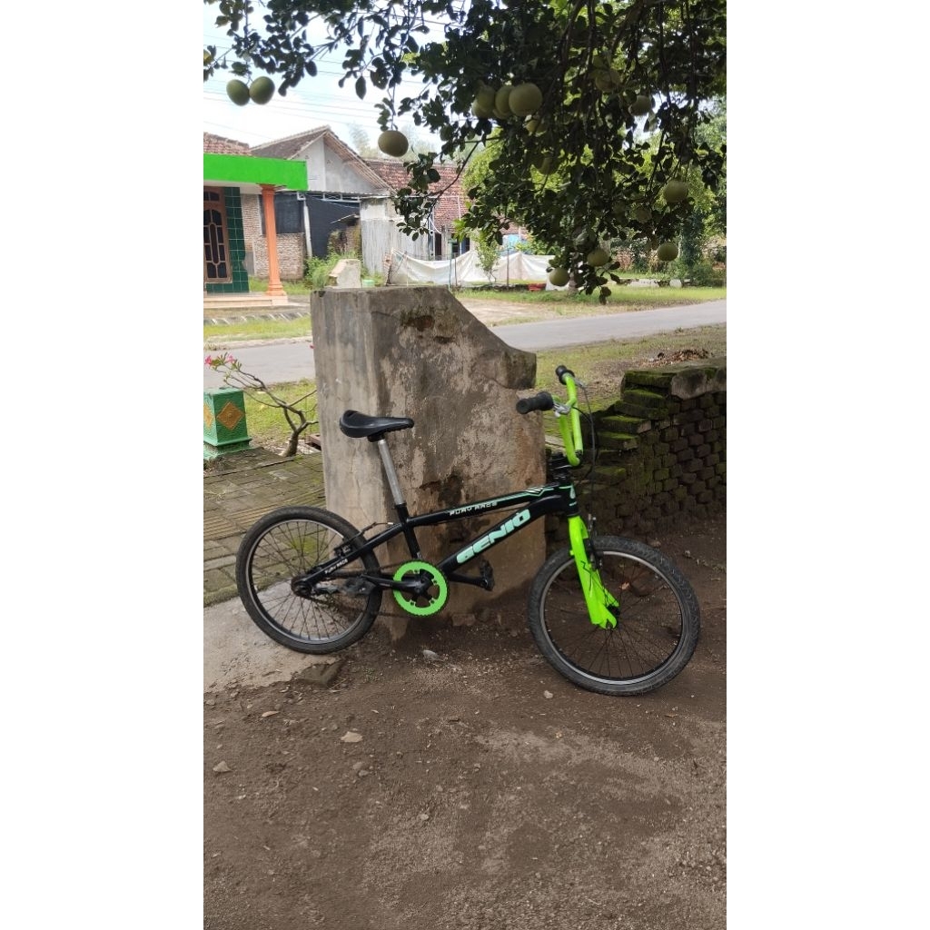 BMX GENIO FURY RACE