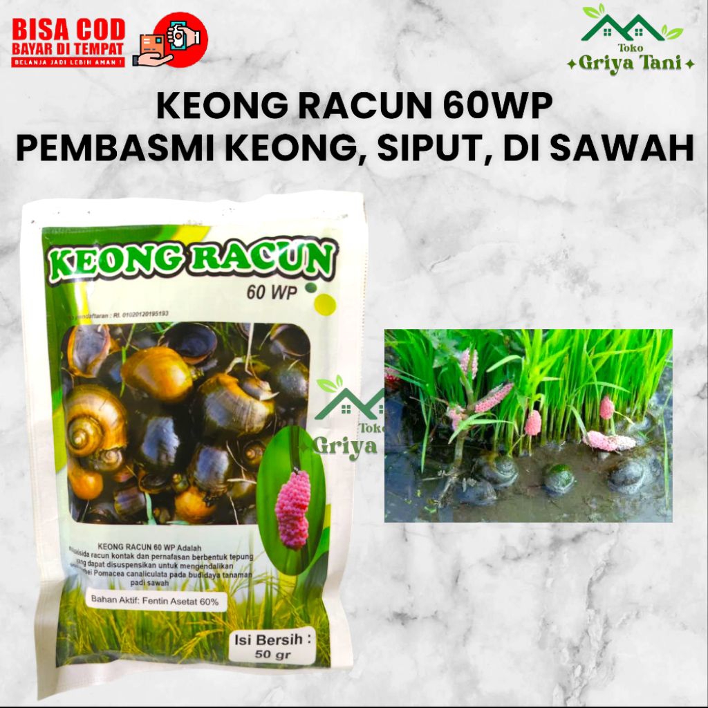 Keong Racun 60WP Pembasmi Keong, Siput dan Kol di Sawah