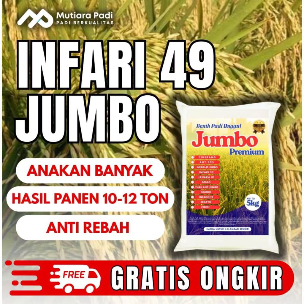 bibit padi benih padi INPARI 49 JUMBO ORIGINAL 5KG