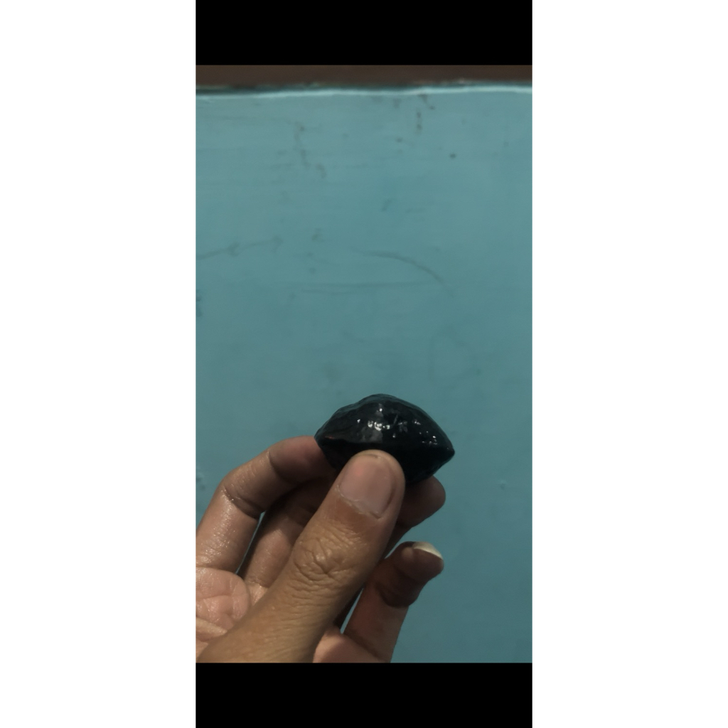 Muncang kojoan siap adu, anak 4g