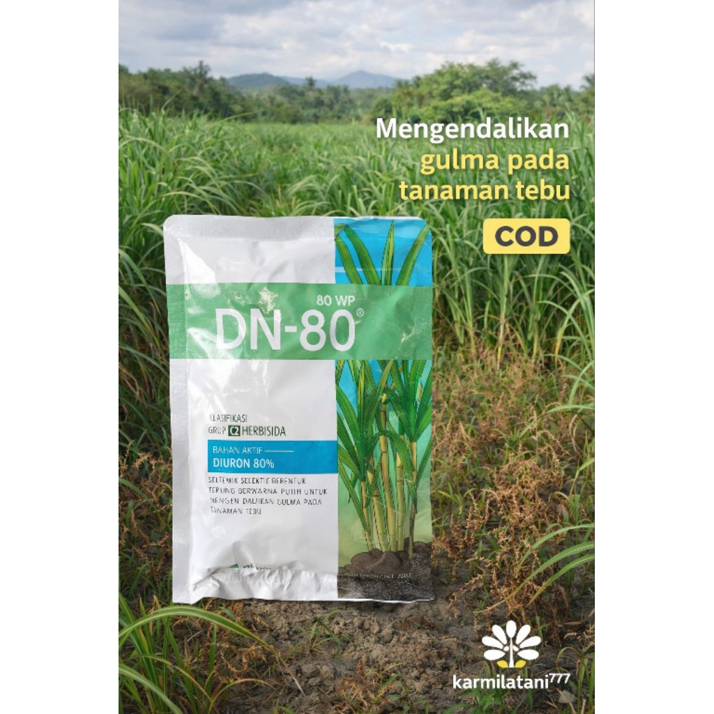 DN-80 80WP herbisida selektif yang aman untuk tanaman tebu