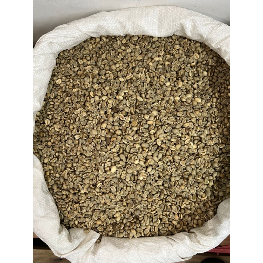 Green Bean - Flores Fullwash