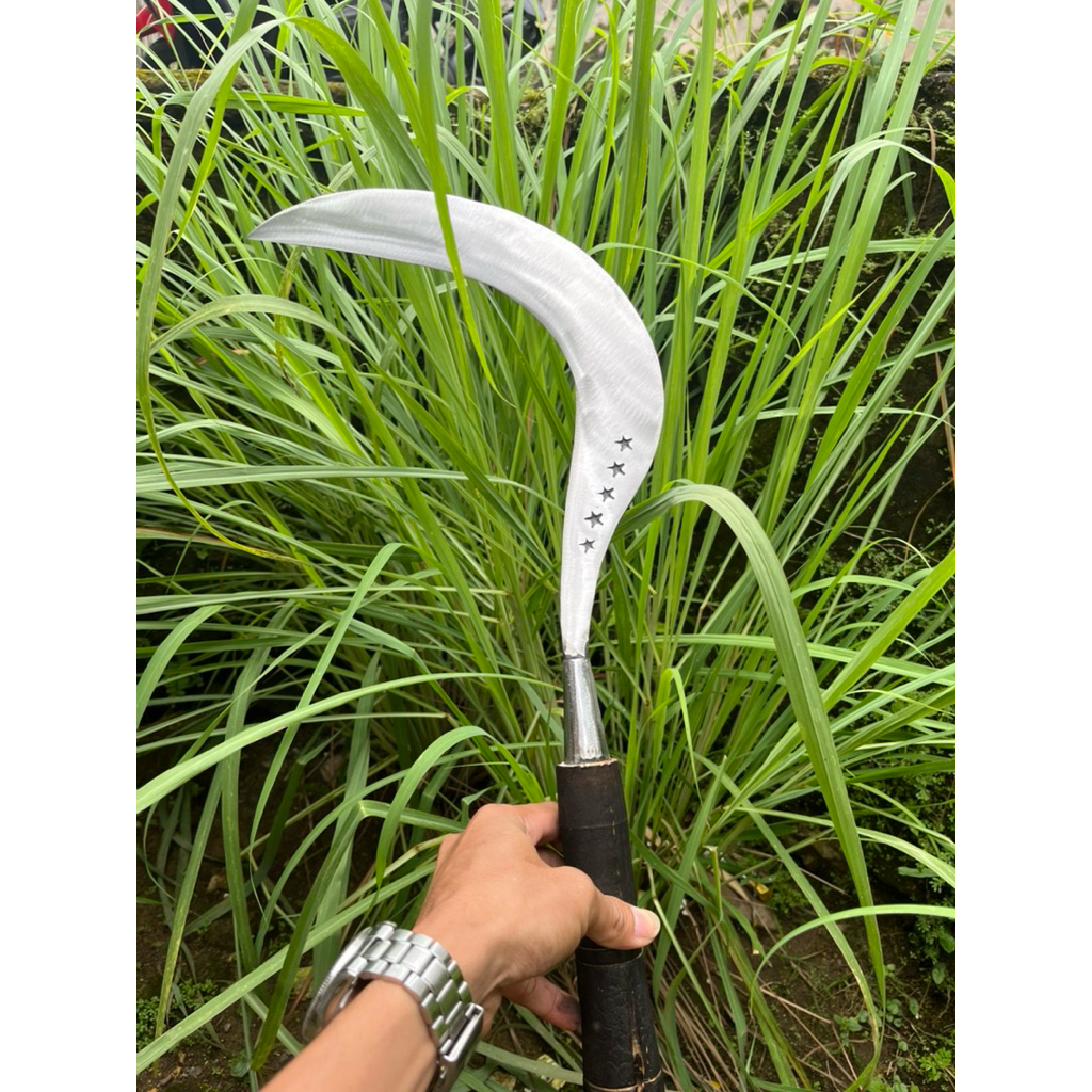 1pcs sabit rumput sabit besar cap bintang lima full baja asli