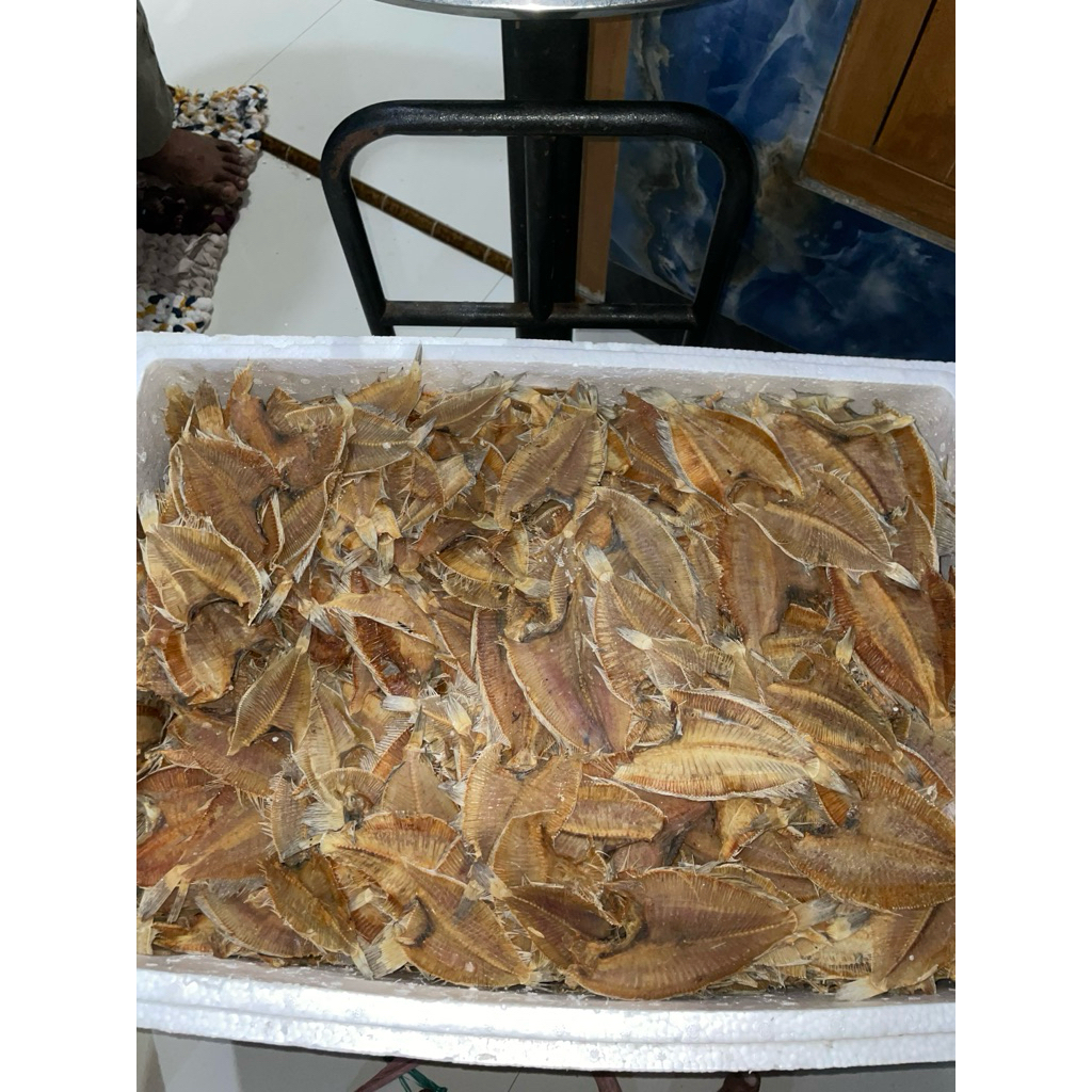 Ikan Pihi Kering Super Kualitas Ekspor