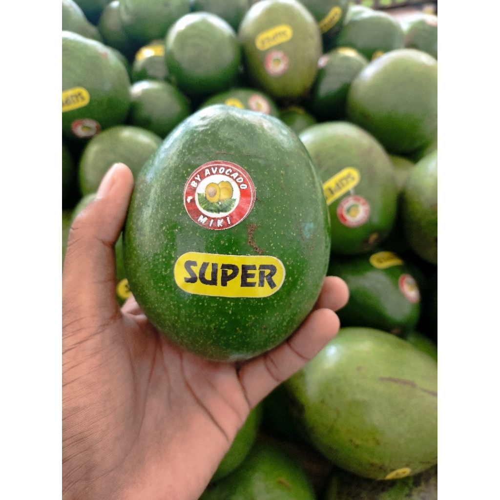 buah alpukat miki super pulen alpukat miki 1kg
