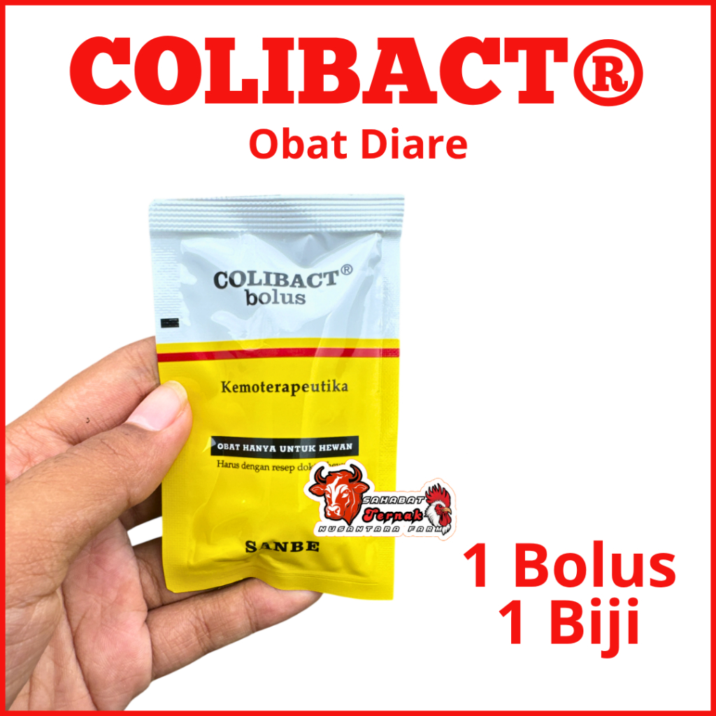 COLIBACT BOLUS ECER 1 BOLUS MENGATASI DIARE MENCRET-INDUK BARU MELAHIRKAN MENGATASI PENCERNAAN