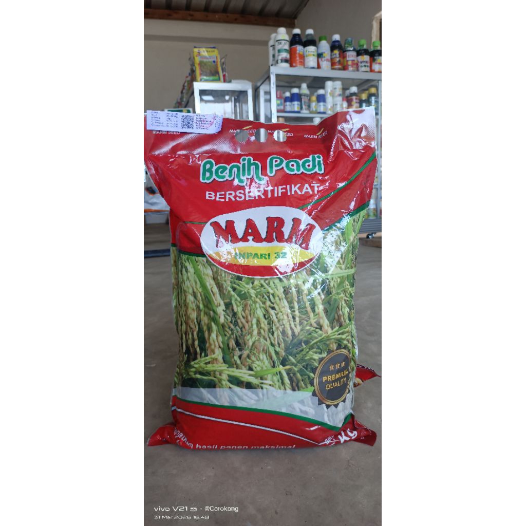 Benih padi Inpari 32