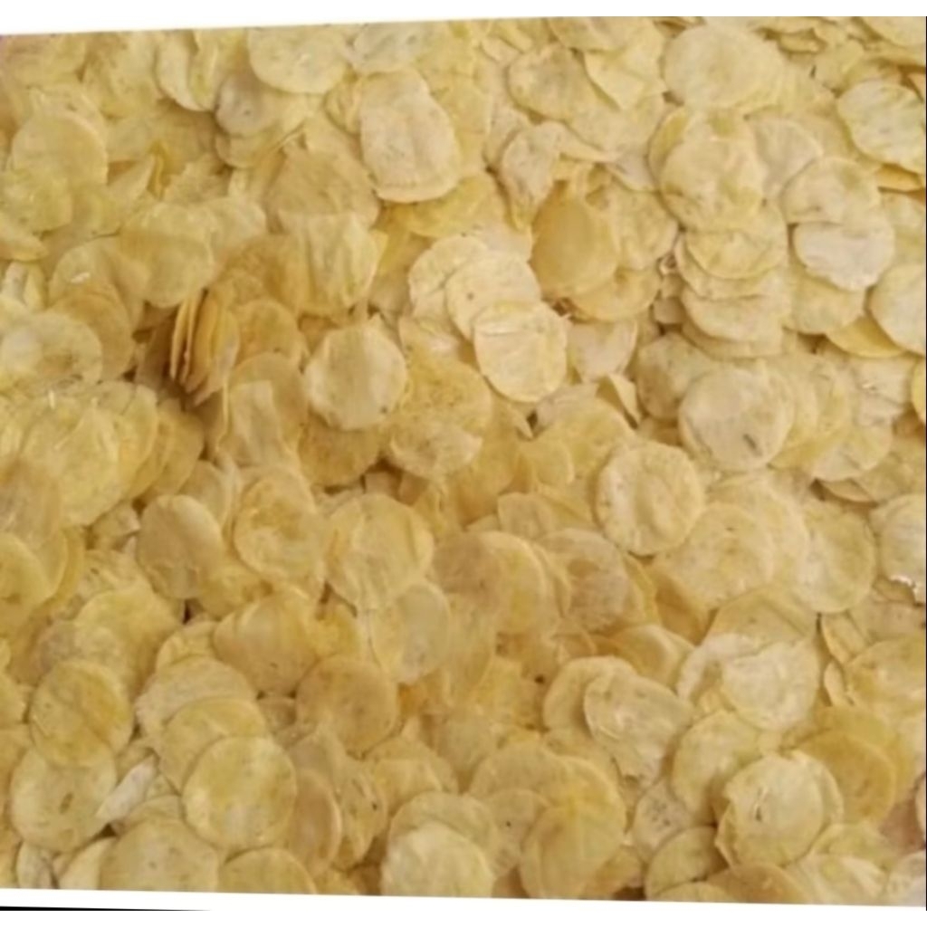 opak koin mentah medan 1kg