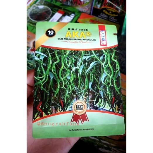 Cabe AKAR 10 Gram - Benih Cabe Merah Keriting AKAR - CMK AKAR - Bibit Cabe AKAR