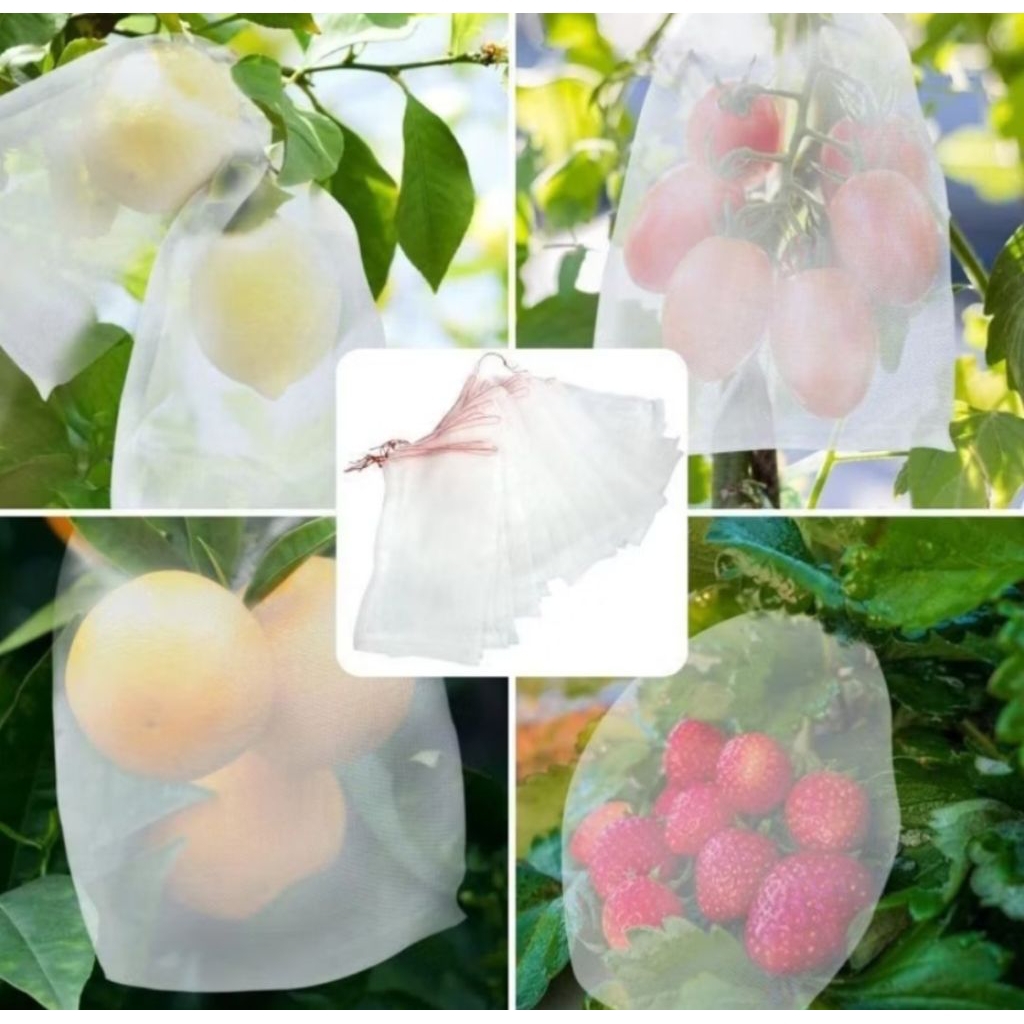 tokodipadang1 1pcs kantong jaring alat pembungkus buah di pohon transparant bungkus buah lengkeng an