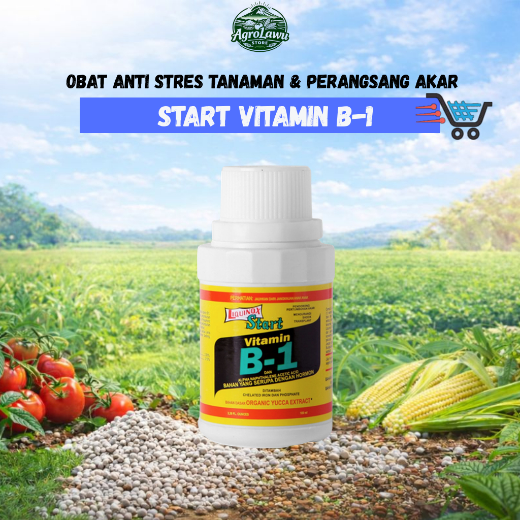 Liquinox Start Vitamin B1- Obat Anti Stres Tanaman & Perangsang Akar