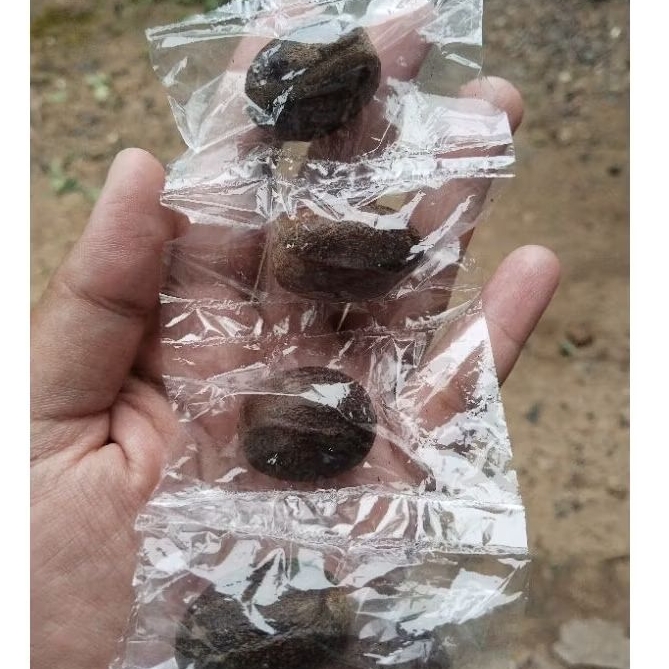 Biji Pala Perbutir