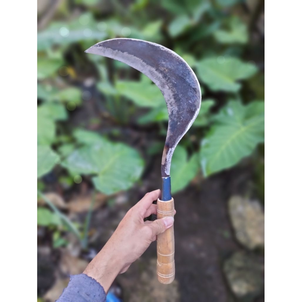 Sabit Arit Baja Super - Kuat, Tajam