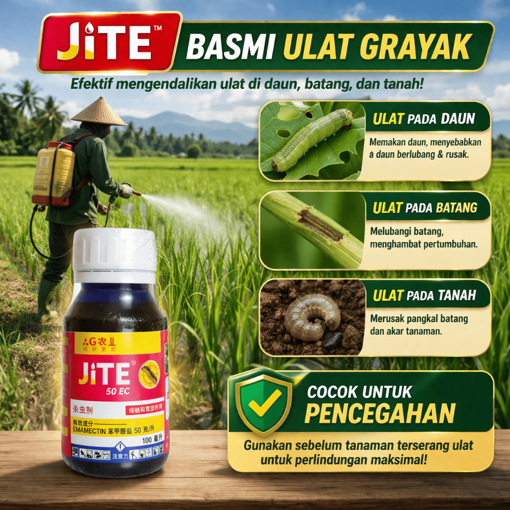 Jite Insektisida Pembasmi Hama Ulat Grayak Dalam Buah Sayur Batang