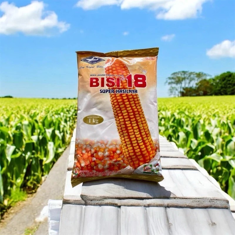 TERBUKTI DAN TERJI Benih Jagung HIBRIDA F1 SUPER BISI 18 1 Kg Exp 15-05 2027 (asli)