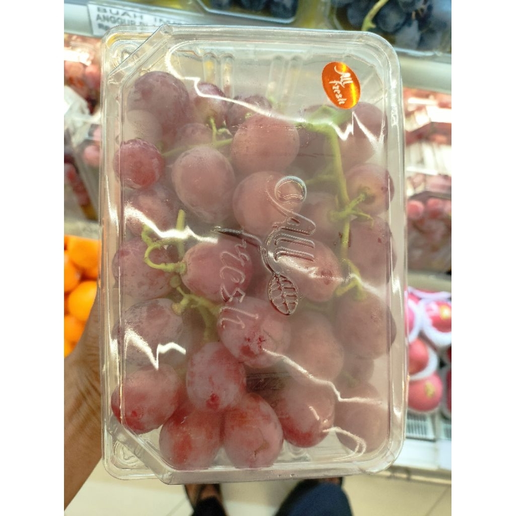 buah anggur red globe buah anggur merah import 1kg