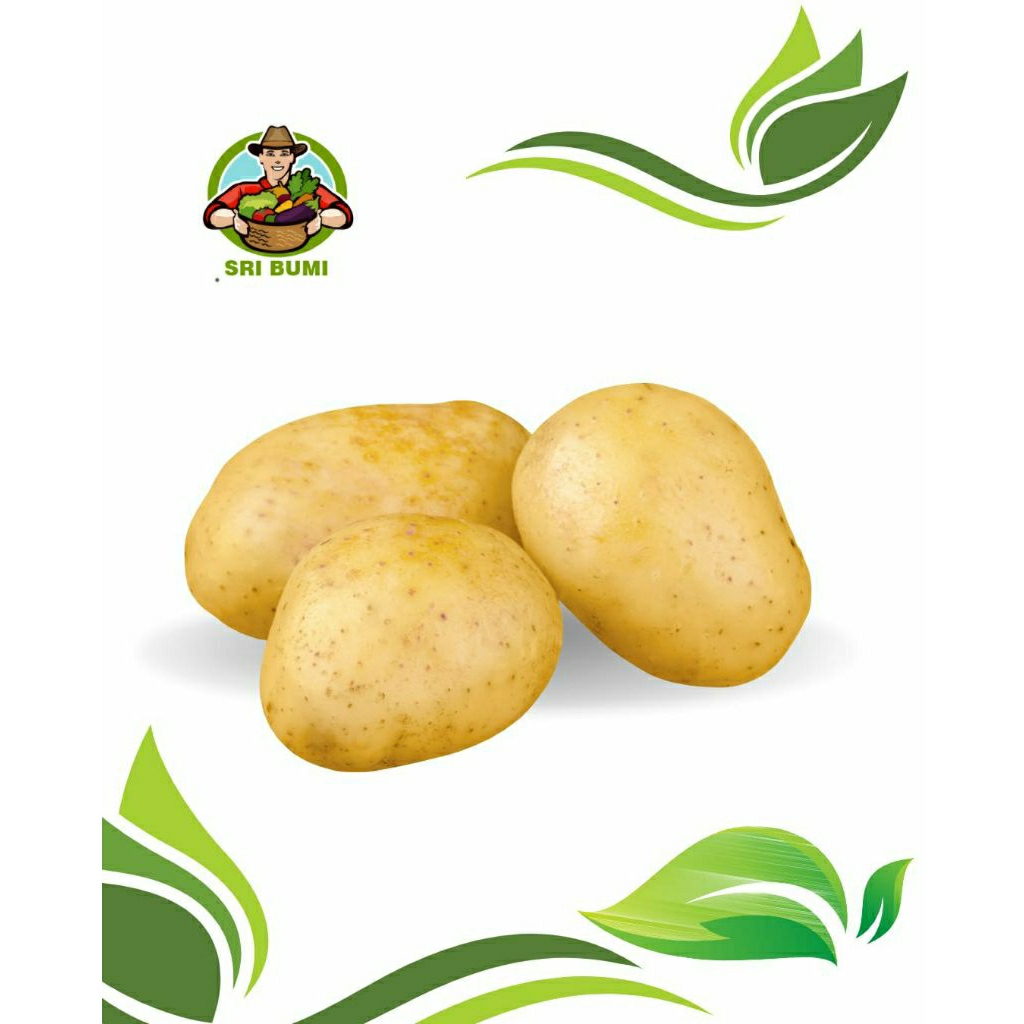 kentang super Bromo 1kg
