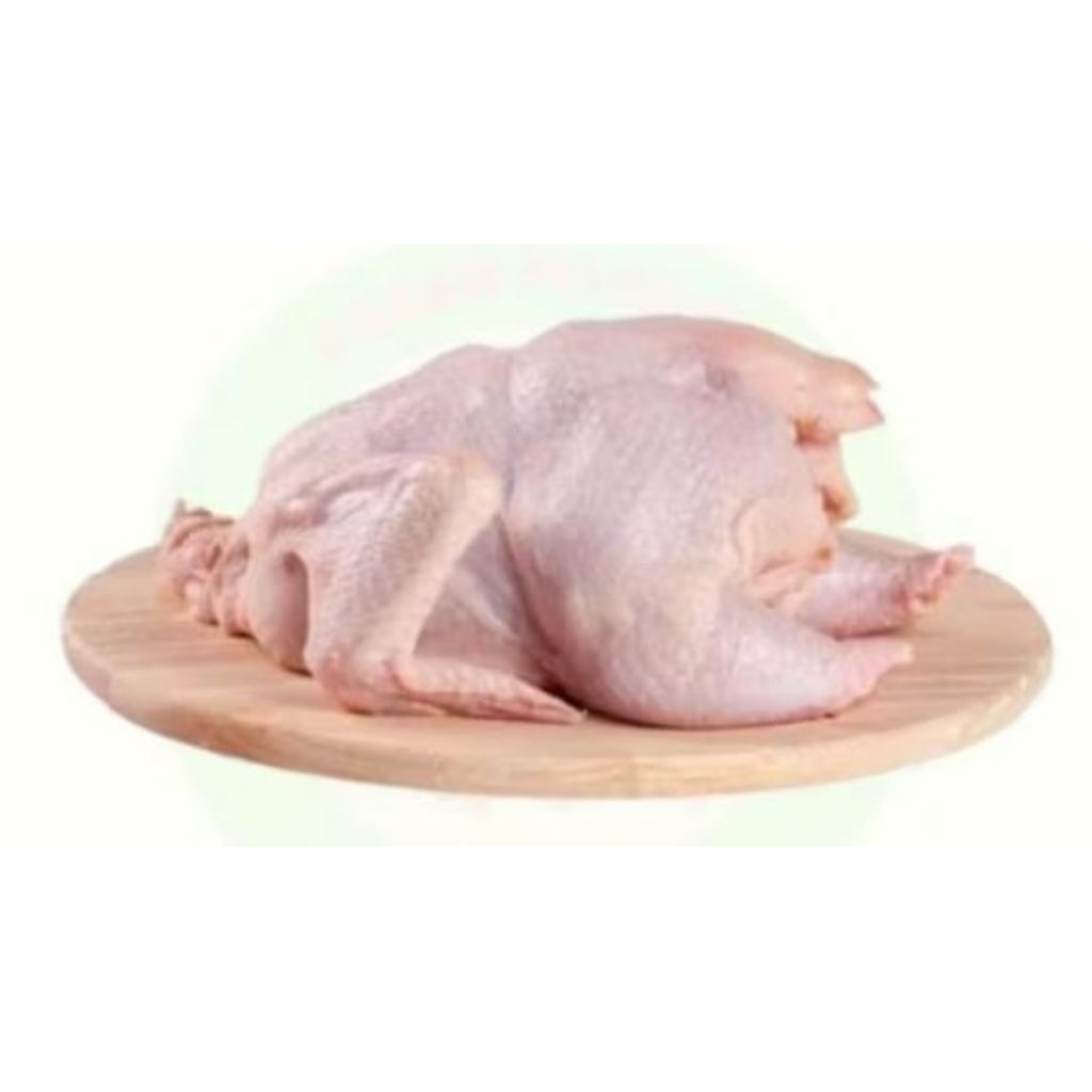 AYAM UTUH FRESH 1,5-1,7 kg - Palembang