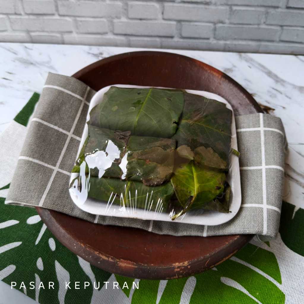Daun salam, daun salam segar, daun salam fresh