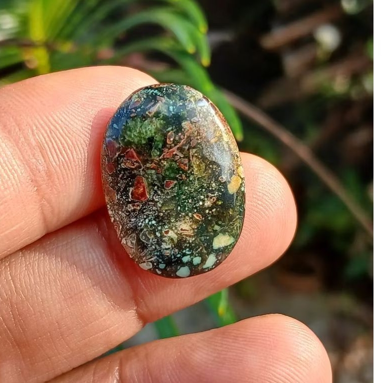 pirus persia ijo depgreen