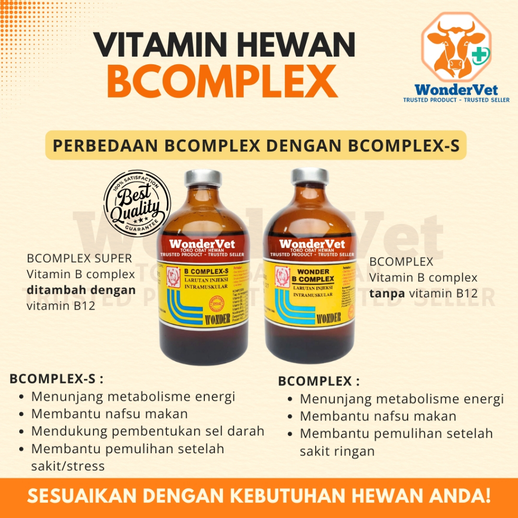 Vit B Complex Super dengan campuran vit B12