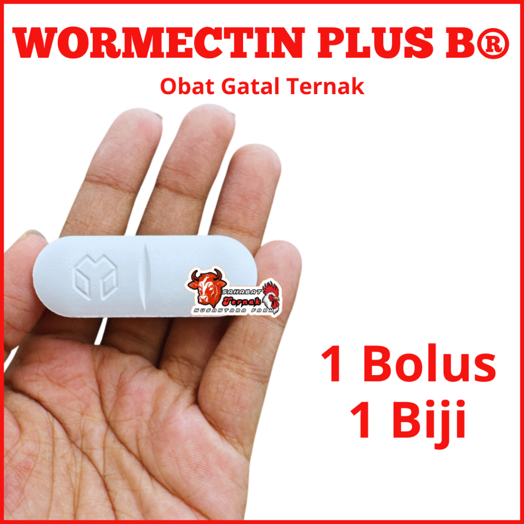 WORMECTIN PLUS B ECER 1 BOLUS - MENANGANI PARASIT GUDIK GATAL KUTU TERNAK KAMBING SAPI DOMBA
