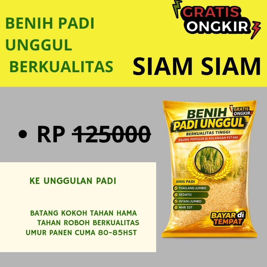BENIH PADI UNGGUL SIAM-SIAM KEMASAN 5KG