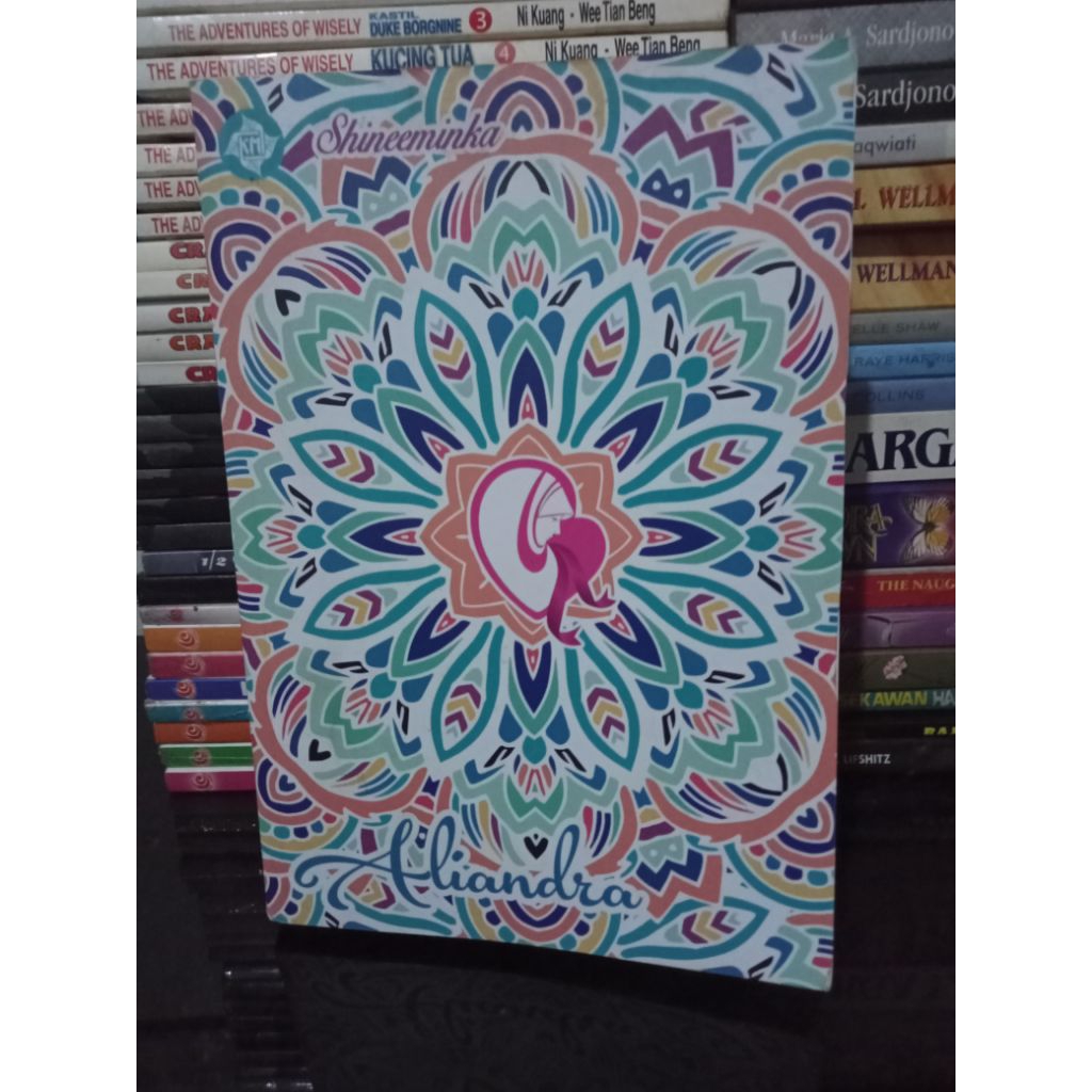 BUKU NOVEL ALIANDRA ORIGINAL
