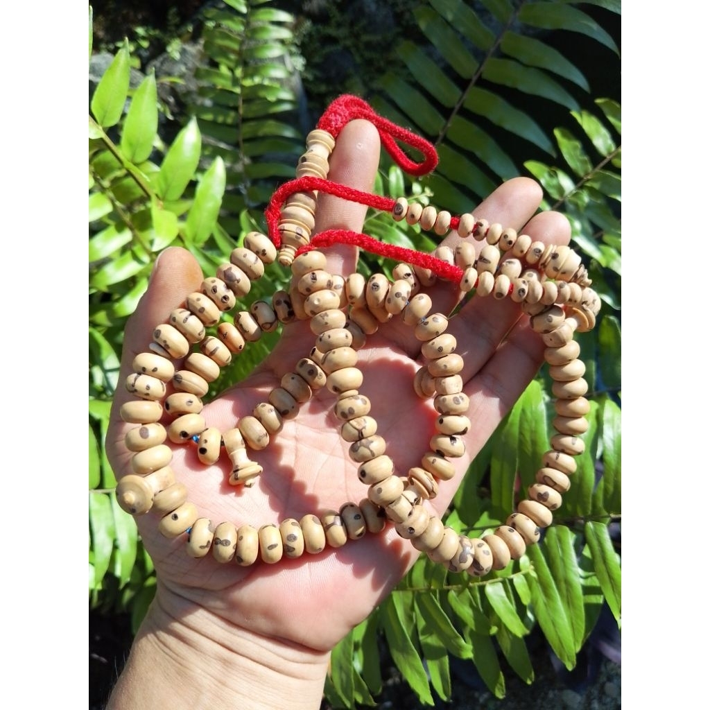 tasbih oud sholib mesir