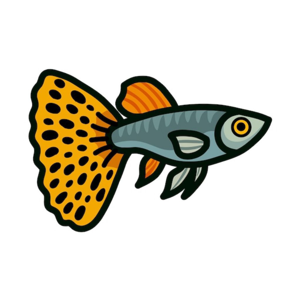 stiker guppy tuxedo koi