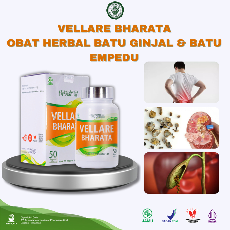 Vellare Bharata Obat Batu Ginjal | Obat Batu Empedu | Obat Kencing Batu | 100% Original Bharata