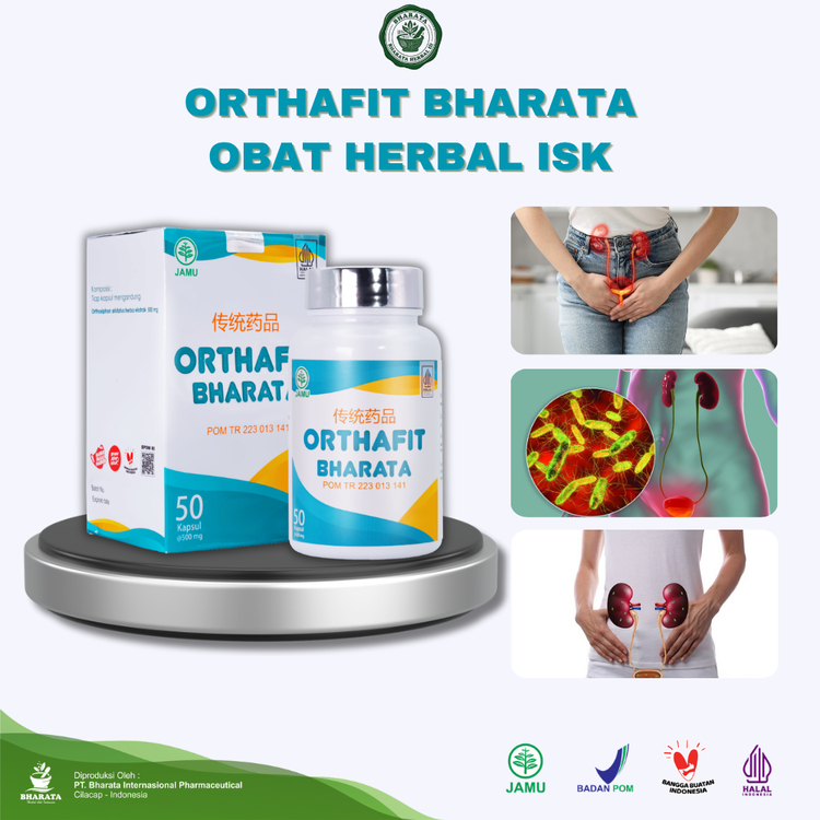 Orthafit Bharata Obat Herbal ISK Obat Batu Ginjal Obat Prostat | Isi 50 Kapsul | Original Bharata