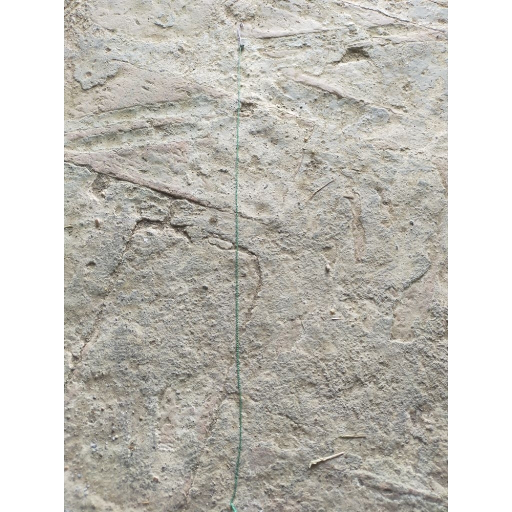 kail pancing belut, anti mocel