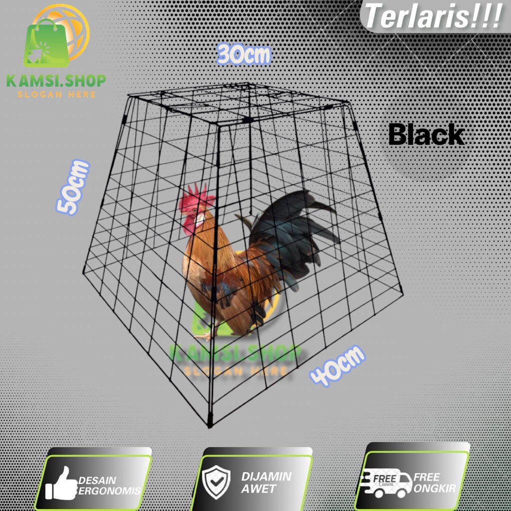 Piramid Kandang Jemur Lipat Ayam Bangkok