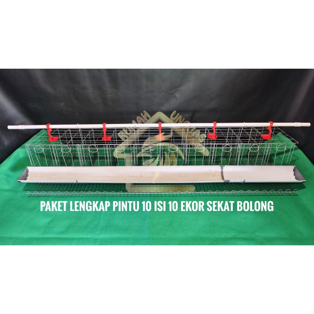 GALVANIS PAKET LENGKAP FULL SET KANDANG LAYER AYAM PETELUR PINTU 10 ISI 10 EKOR TINGGAL ISI AYAM