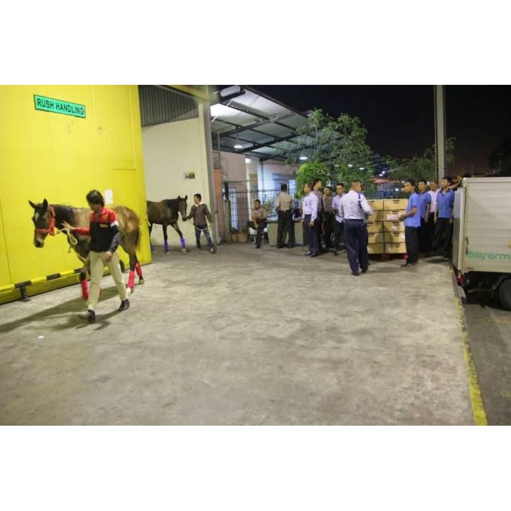 PAKET LUAR NEGERI