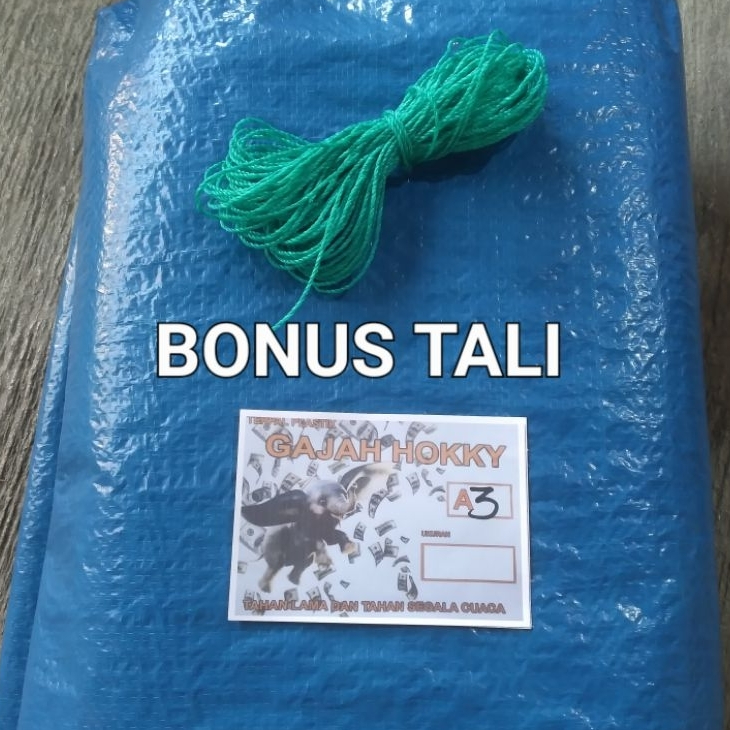 Terpal Tenda 2x3 A3 Terpal Jemur Padi Terpal Serbaguna