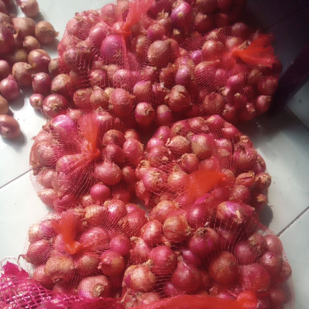 Bawang merah super brebes
