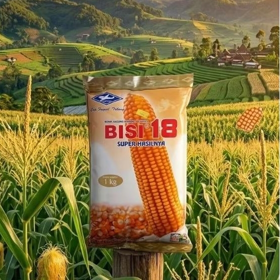 Benih Jagung Hibrida Bisi 18 1 Kg Original Exp 05 2027