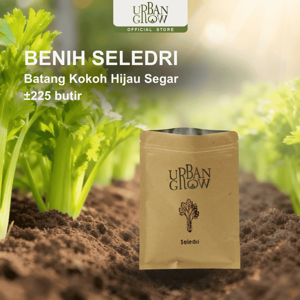 Benih Seledri Urban Grow – Repack Known-You Seed | Panen ±100 HST (Summer Green) ±225 Benih