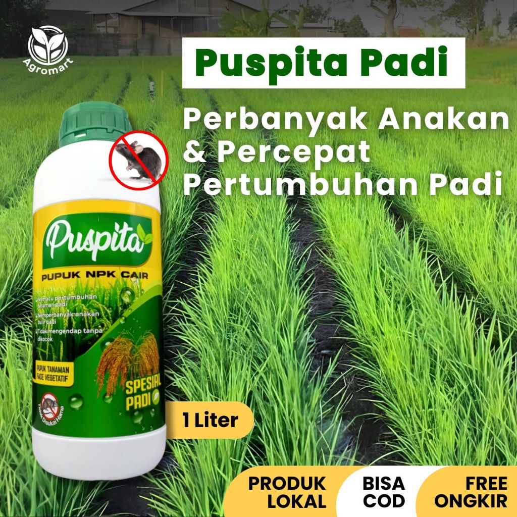 Pupuk NPK Cair Spesial Padi Kandungan GA3 Perbanyak Anakan Bulir Padi Berkualitas
