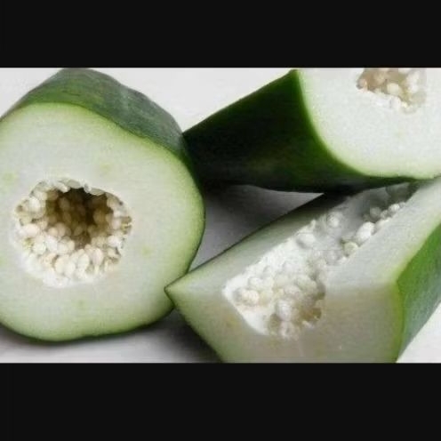 Pepaya mentah pepaya muda 1 kg