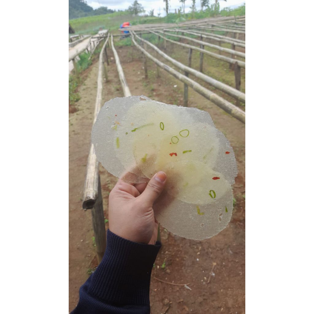 1kg enye/opak singkong khas sukabumi original