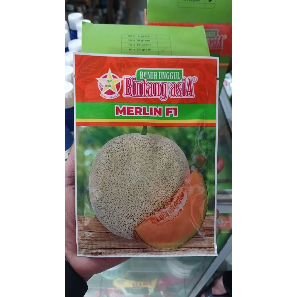 Melon Merlin F1 20 gr